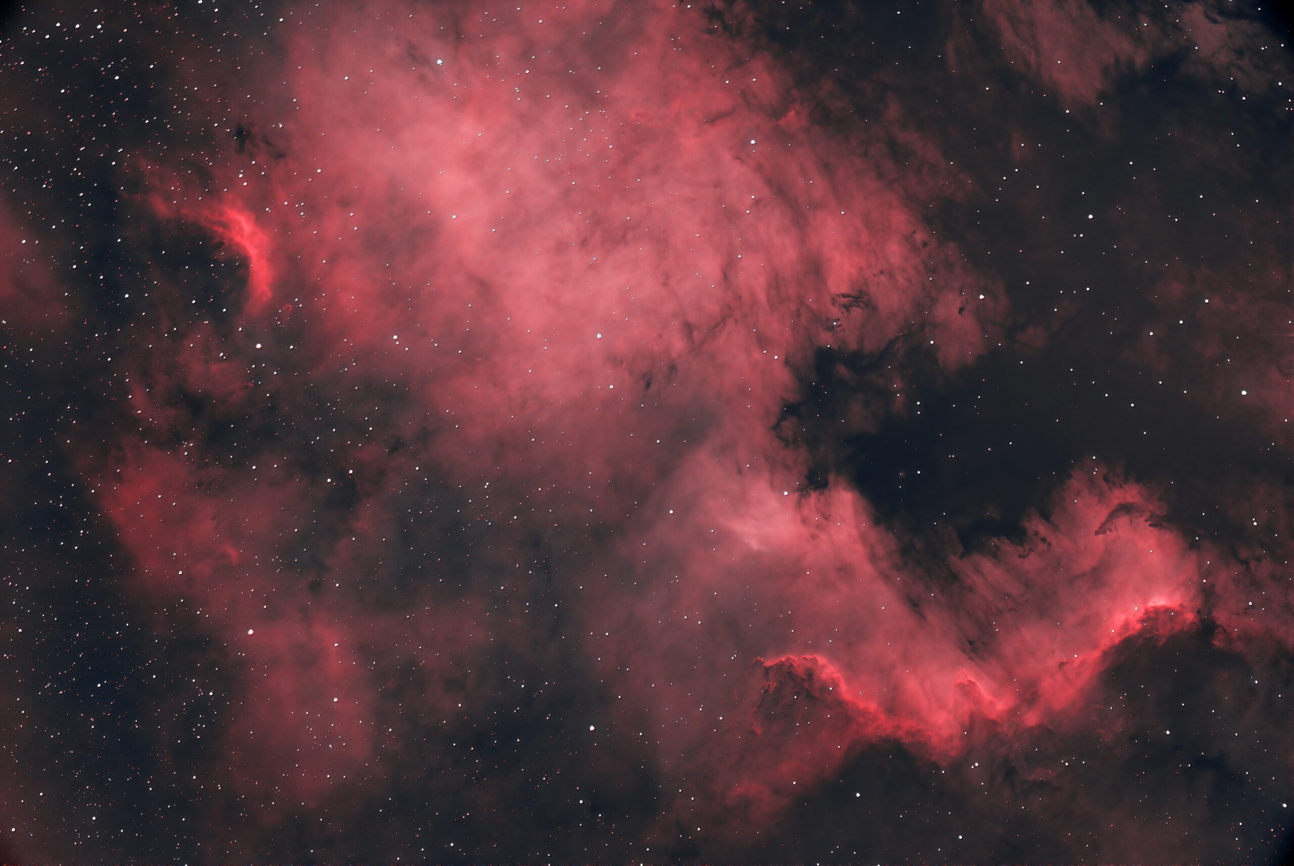 NGC 7000 America
